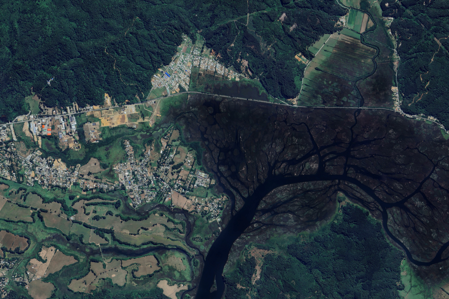 Satelital