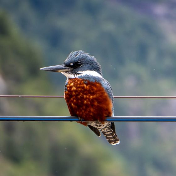 DSC04199-Mejorado-NR